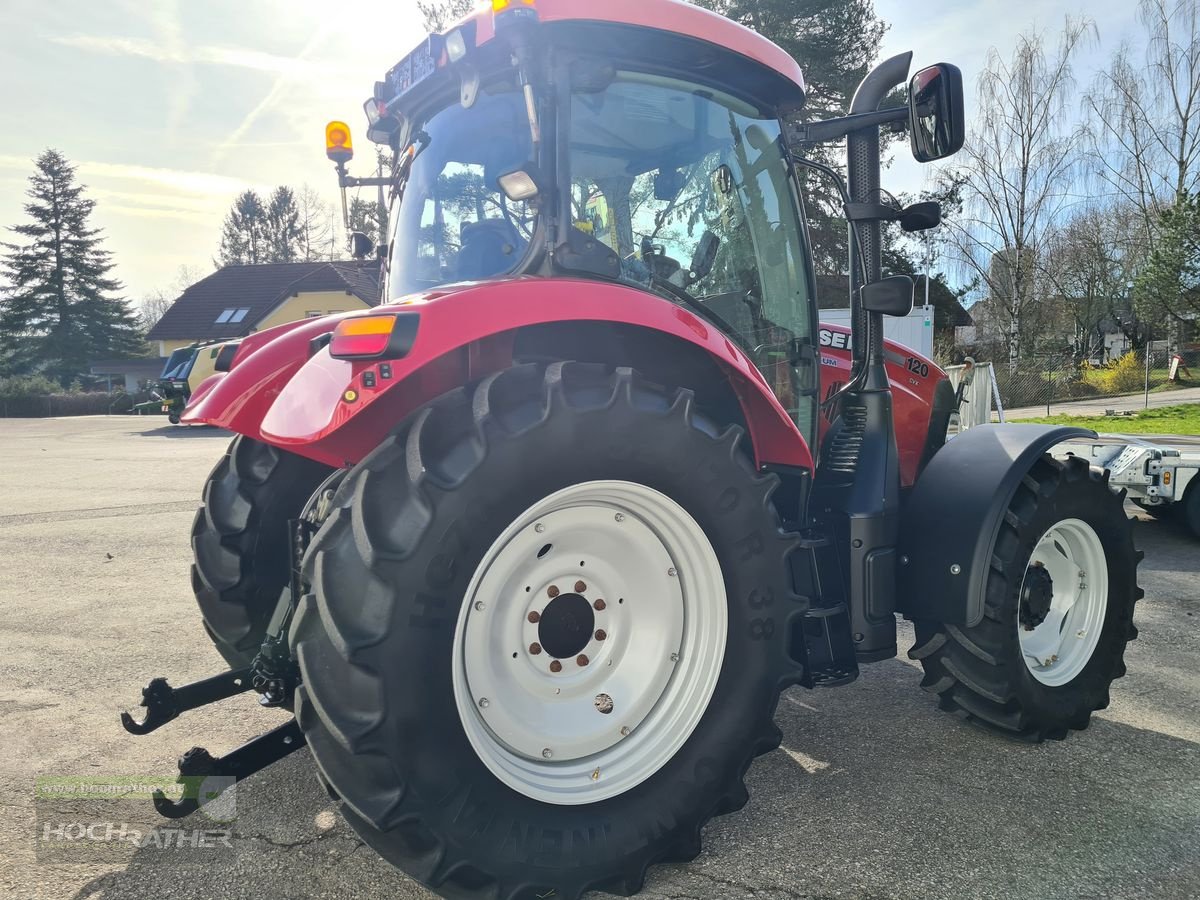 Traktor des Typs Case IH Maxxum CVX 120 Profi, Gebrauchtmaschine in Kronstorf (Bild 5)