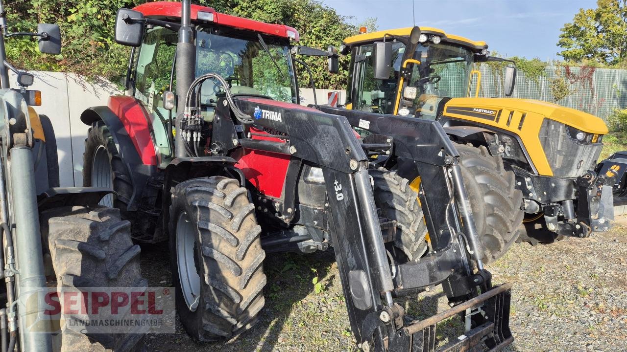 Traktor del tipo Case IH MXU 100 Maxxum, Gebrauchtmaschine In Groß-Umstadt (Immagine 2)