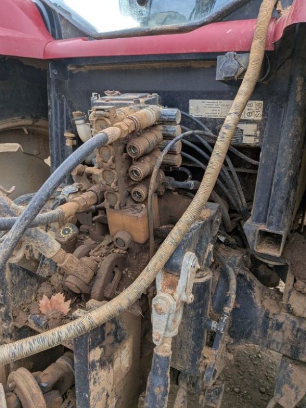 Traktor del tipo Case IH MXU 125, Gebrauchtmaschine en VOVES (Imagen 3)