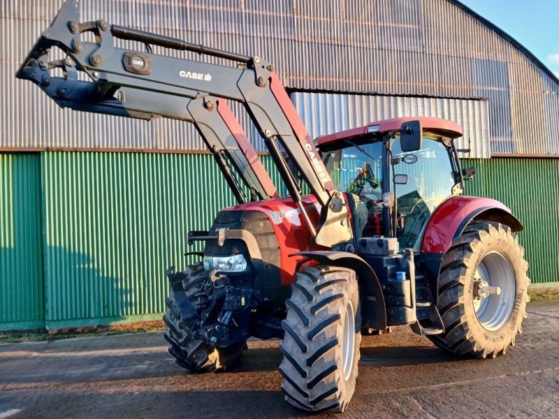 Traktor typu Case IH Puma 130CVX +FL, Gebrauchtmaschine v Liebenwalde