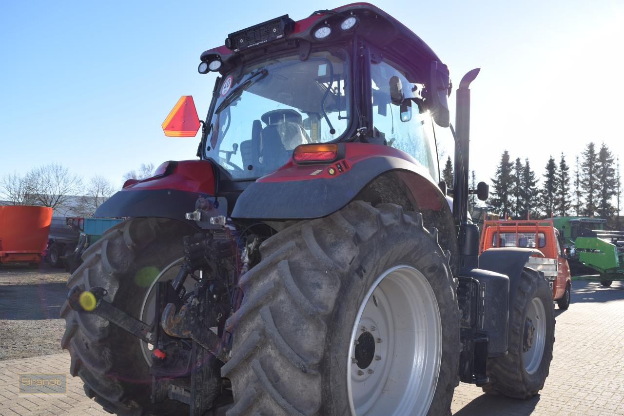 Traktor of the type Case IH Puma 150, Gebrauchtmaschine in Oyten (Picture 7)