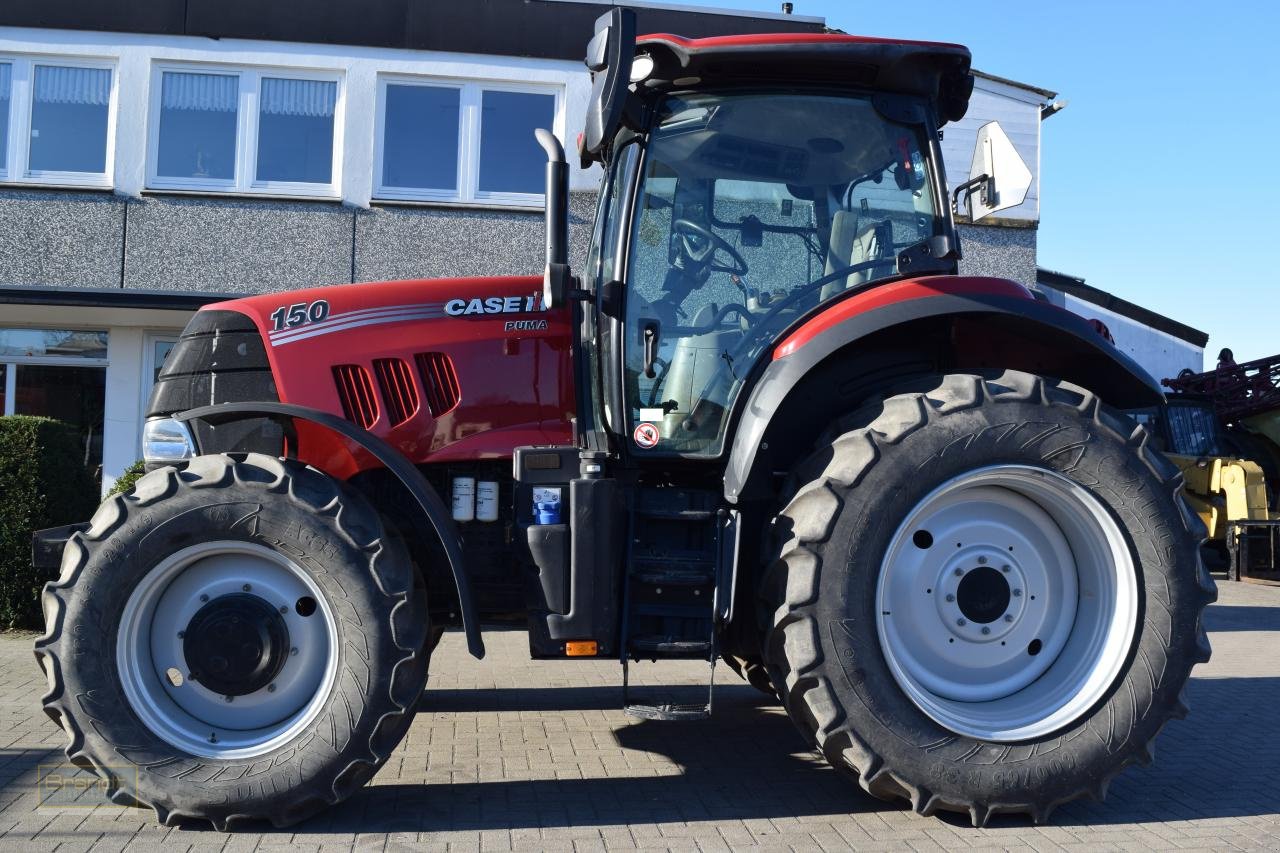 Traktor typu Case IH Puma 150, Gebrauchtmaschine w Oyten (Zdjęcie 1)
