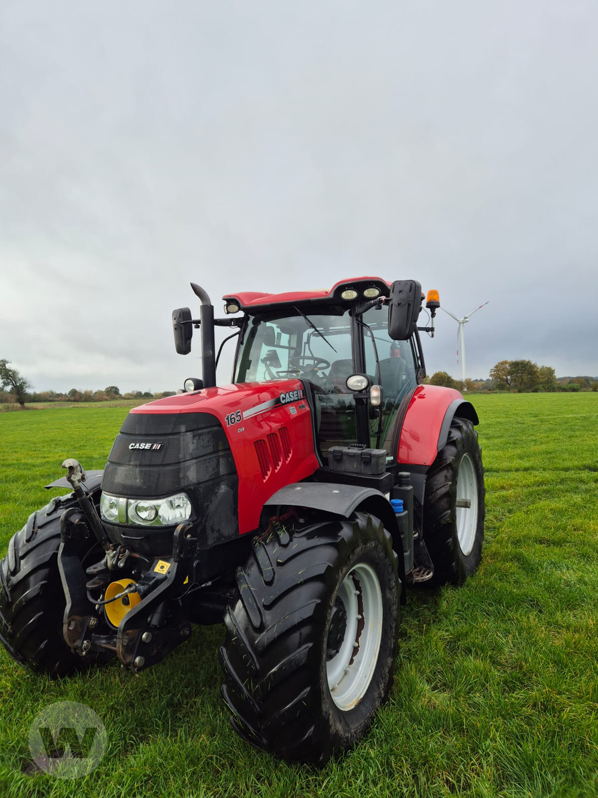 Traktor des Typs Case IH Puma 165 CVX, Gebrauchtmaschine in Husum (Bild 1)