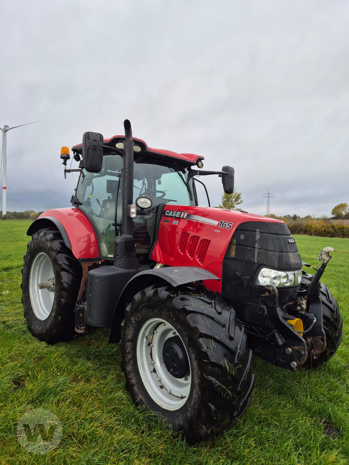 Traktor des Typs Case IH Puma 165 CVX, Gebrauchtmaschine in Husum (Bild 2)