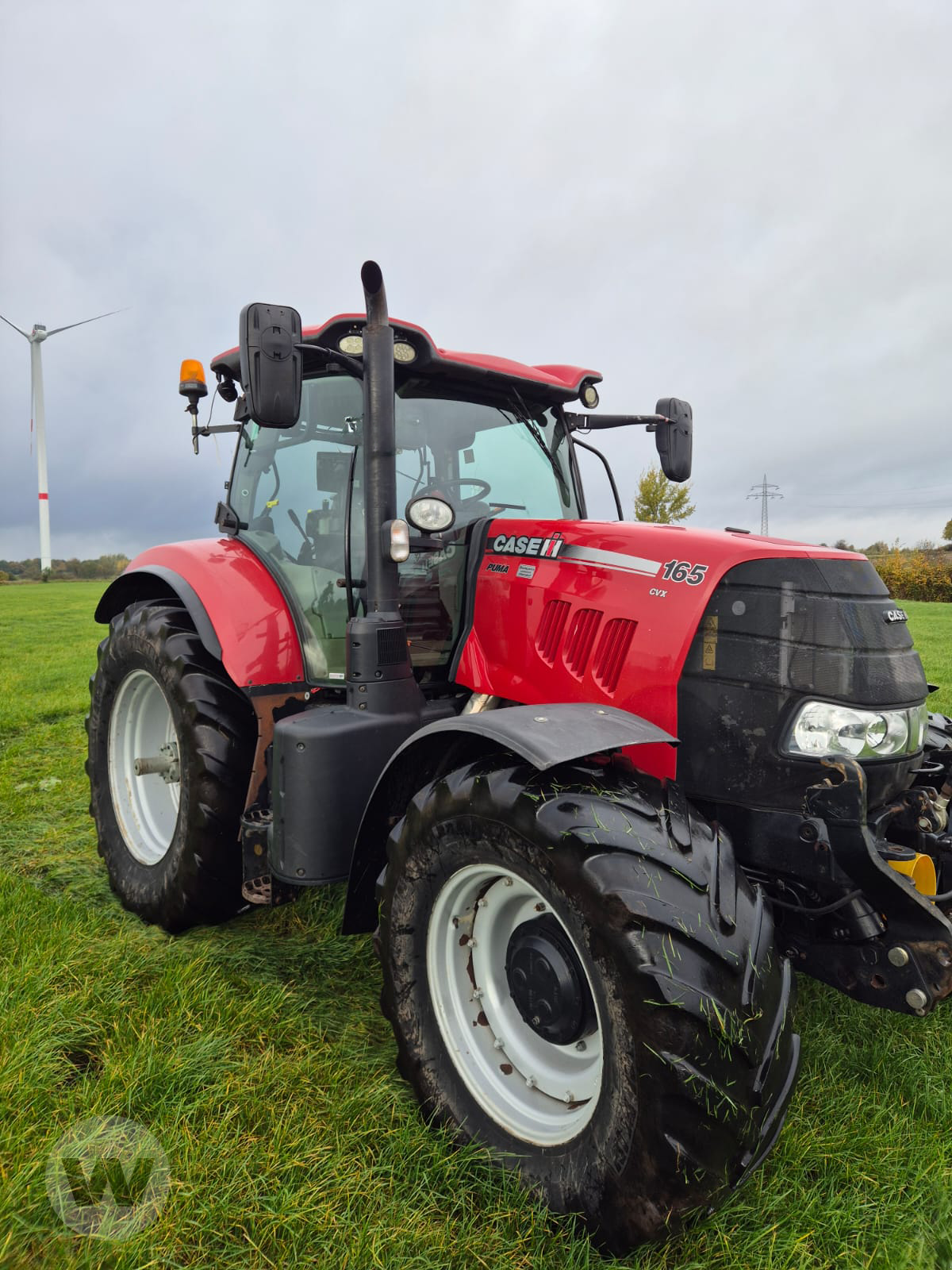 Traktor des Typs Case IH Puma 165 CVX, Gebrauchtmaschine in Husum (Bild 3)