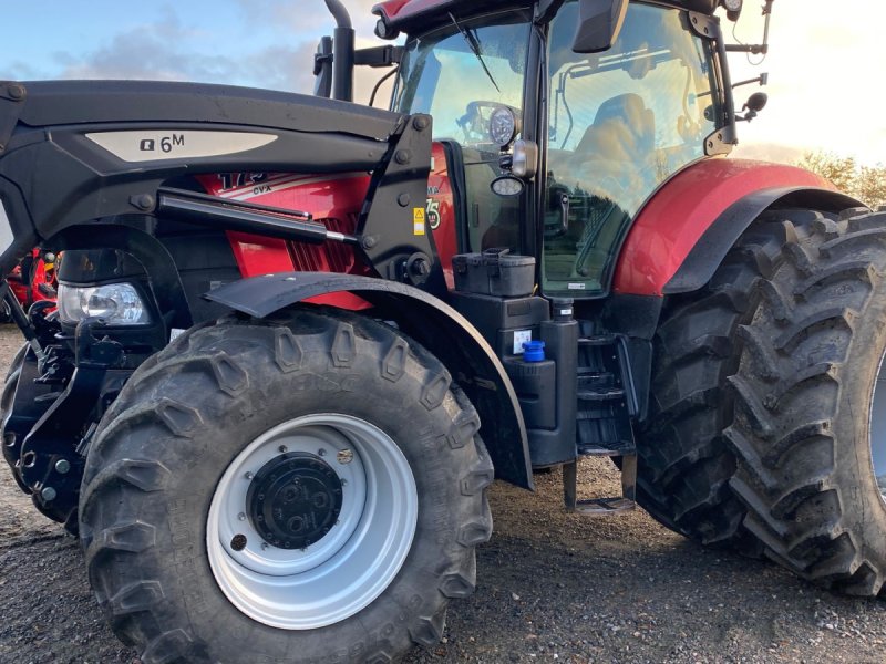 Traktor des Typs Case IH Puma 175 CVX 175 års jubilæums model, Gebrauchtmaschine in Roskilde (Bild 1)