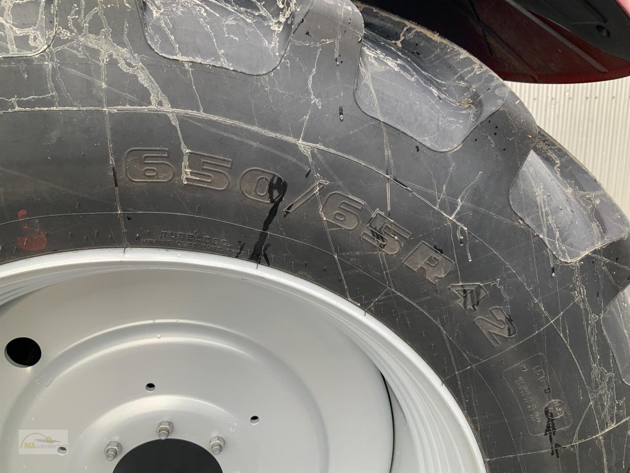 Traktor del tipo Case IH Puma 175 CVX Drive, Neumaschine In Pfreimd (Immagine 11)