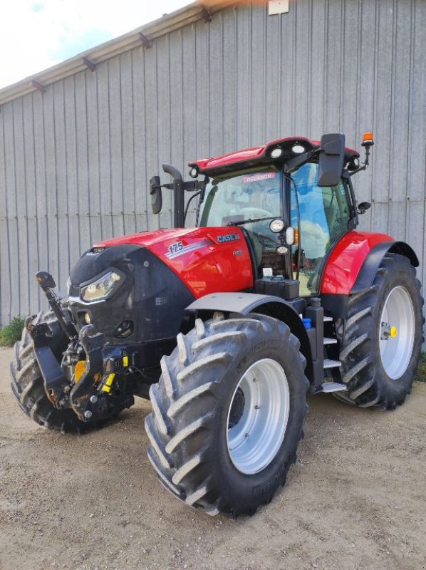 Traktor typu Case IH Puma 175 CVX, Gebrauchtmaschine v VOVES (Obrázek 1)