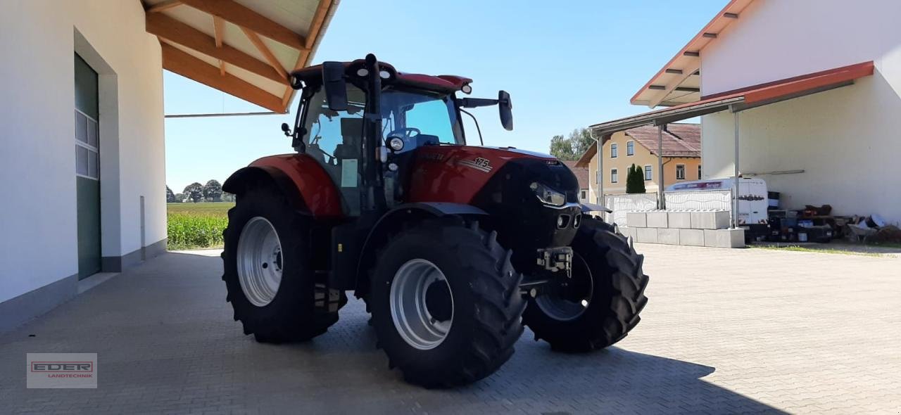 Traktor typu Case IH Puma 175 CVX, Neumaschine w Wlpertskirchen (Zdjęcie 7)