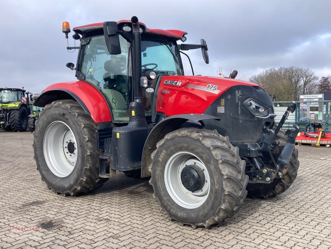 Traktor des Typs Case IH Puma 175 CVX, Gebrauchtmaschine in Bockel - Gyhum (Bild 1)