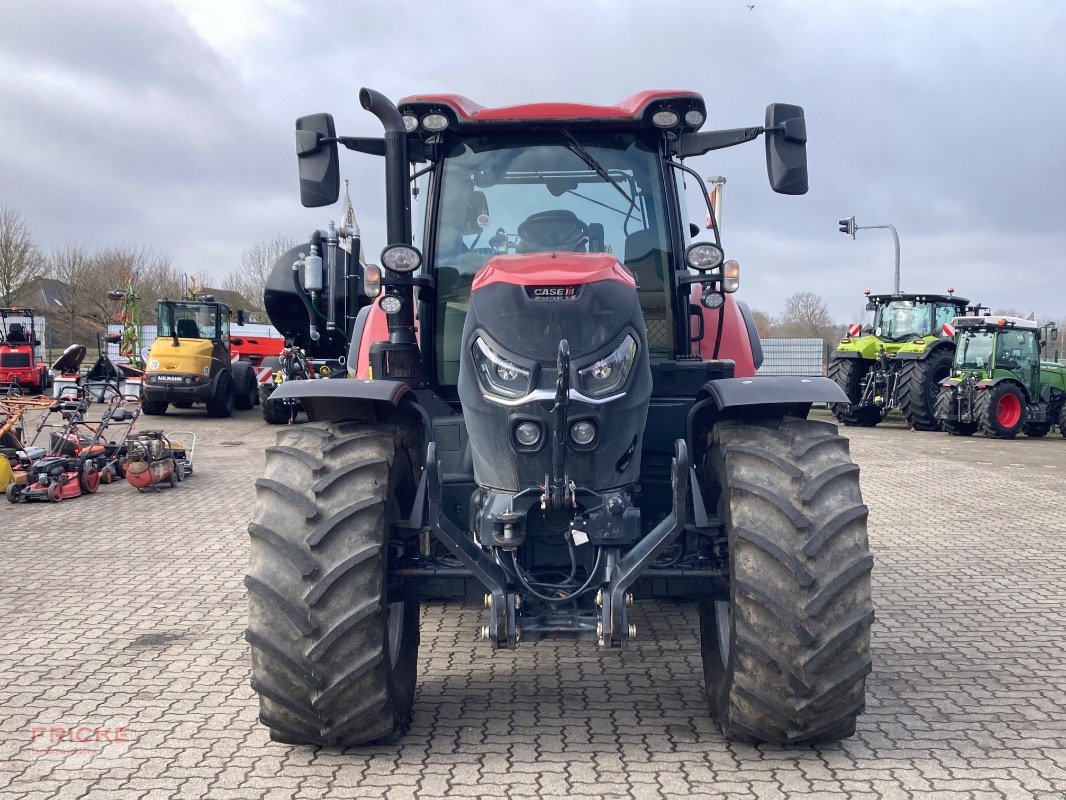 Traktor des Typs Case IH Puma 175 CVX, Gebrauchtmaschine in Bockel - Gyhum (Bild 2)