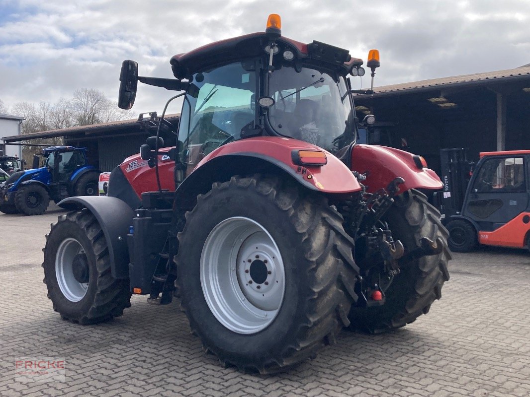 Traktor des Typs Case IH Puma 175 CVX, Gebrauchtmaschine in Bockel - Gyhum (Bild 5)