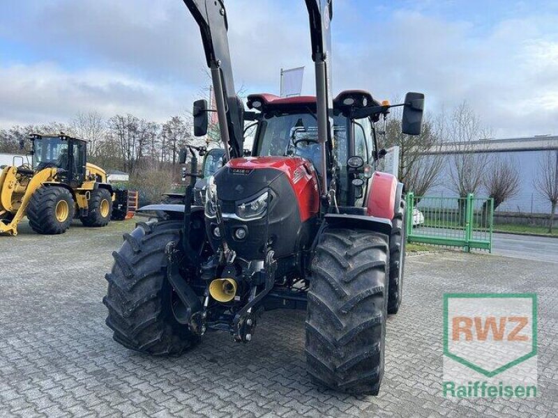 Traktor типа Case IH Puma 175 CVX, Gebrauchtmaschine в Geldern (Фотография 8)