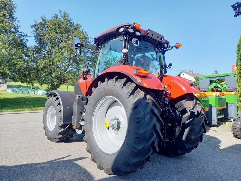 Traktor типа Case IH Puma 175 CVX, Neumaschine в St. Marienkirchen (Фотография 6)