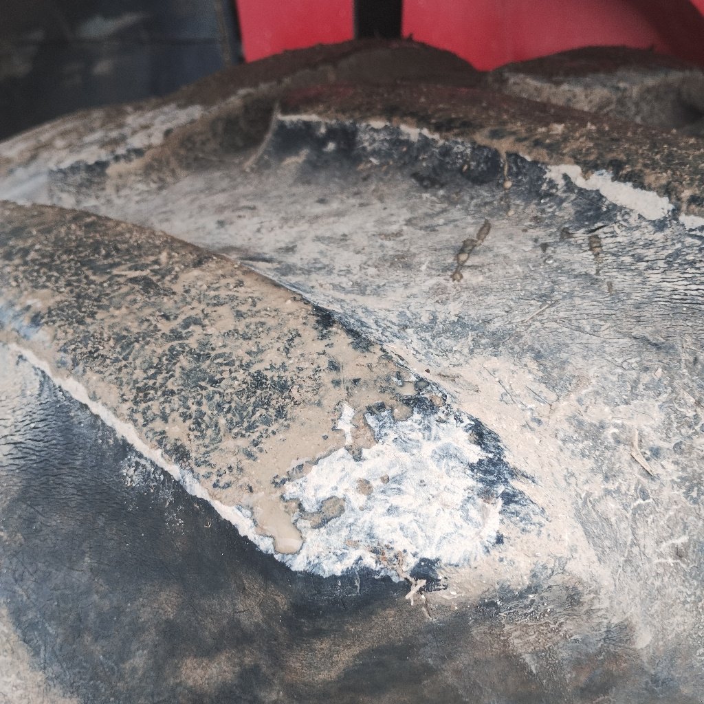 Traktor van het type Case IH PUMA 185 CVX, Gebrauchtmaschine in Neuilly-Crimolois (Foto 5)