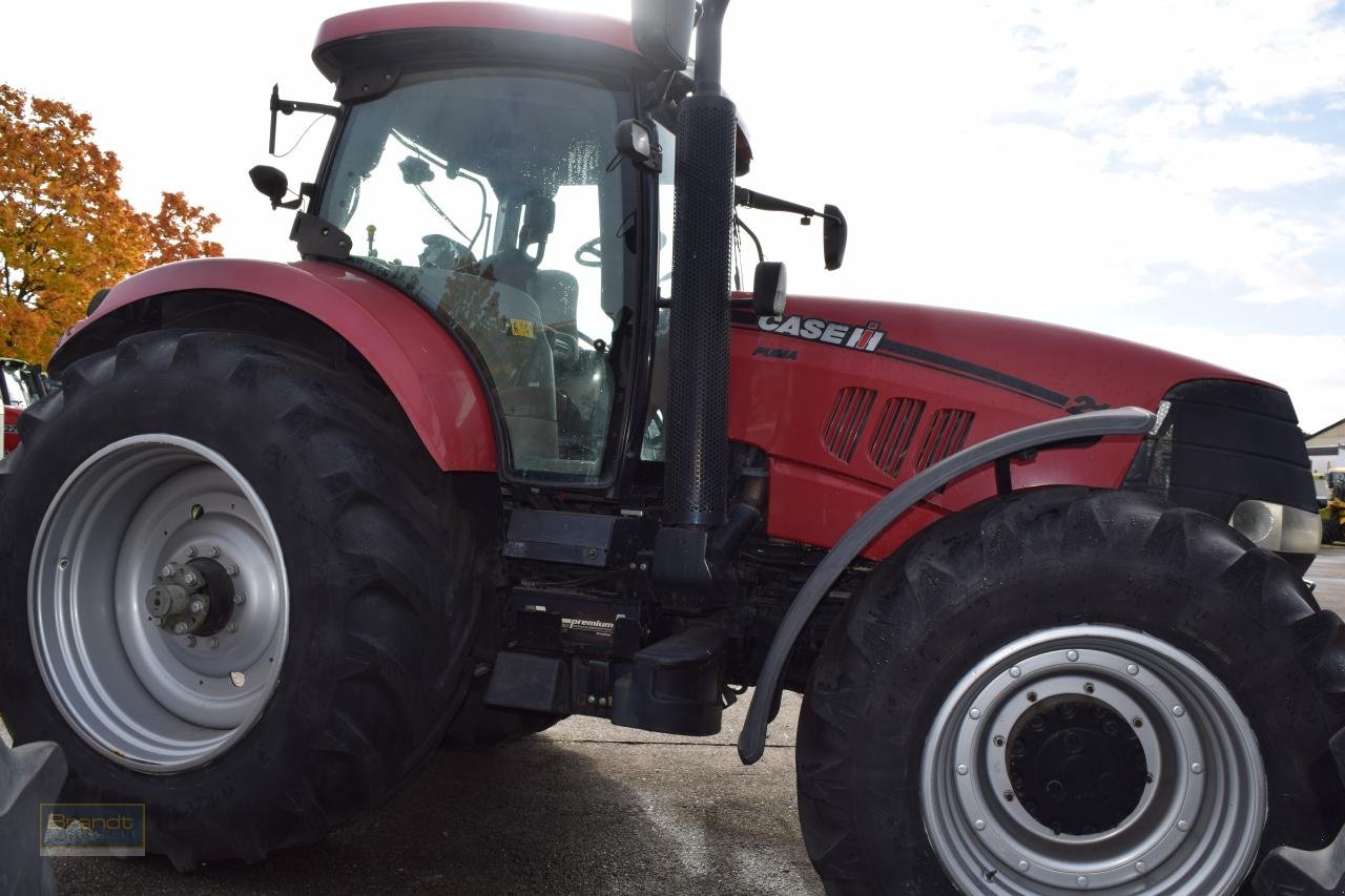 Traktor typu Case IH Puma 210 MC, Gebrauchtmaschine v Oyten (Obrázek 3)