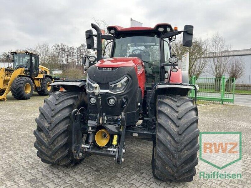 Traktor Türe ait Case IH Puma 240 CVX, Gebrauchtmaschine içinde Geldern (resim 2)