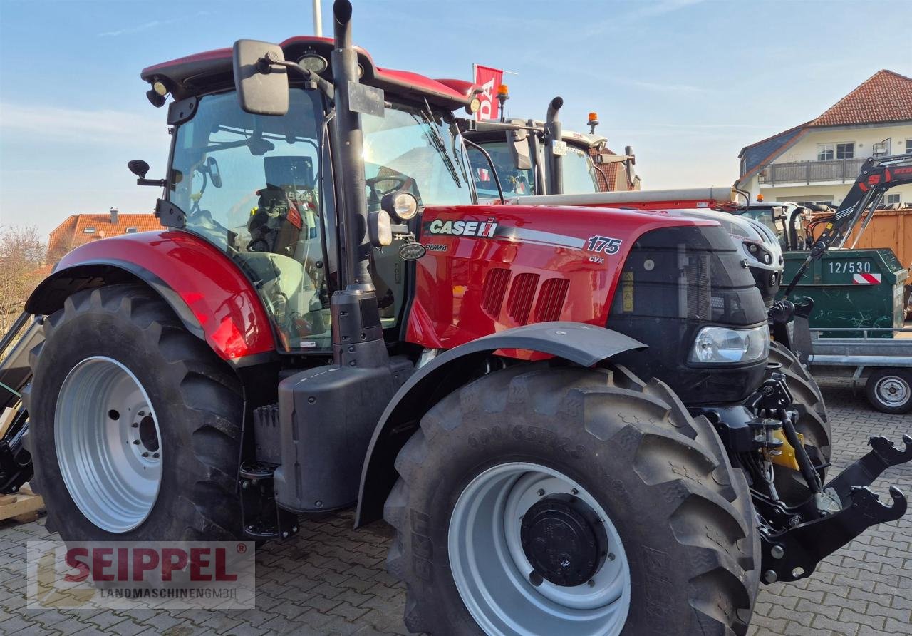 Traktor des Typs Case IH PUMA CVX 175 PROFI, Gebrauchtmaschine in Groß-Umstadt (Bild 2)