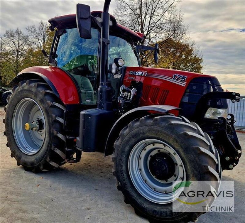Traktor типа Case IH PUMA CVX 175, Gebrauchtmaschine в Beckum (Фотография 5)