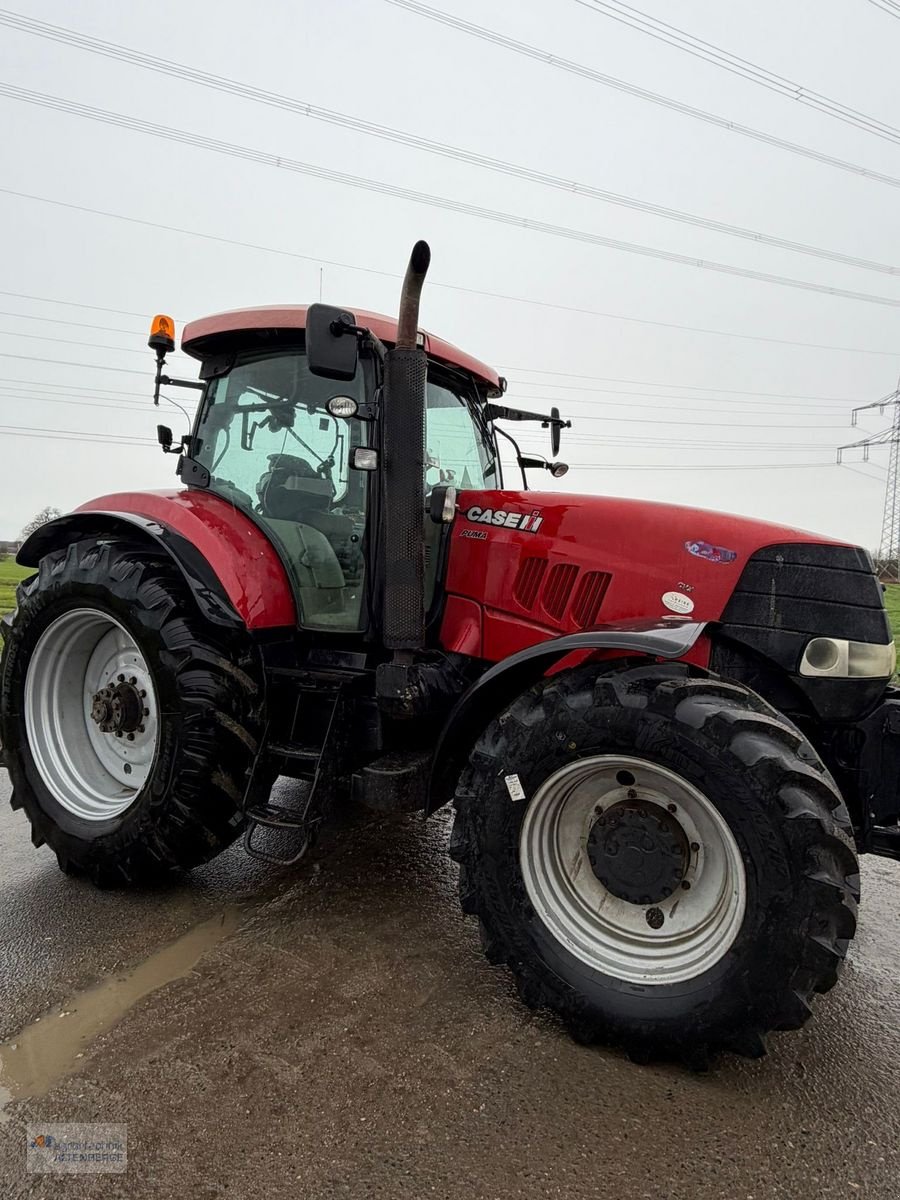 Traktor Türe ait Case IH Puma CVX 180, Gebrauchtmaschine içinde Altenberge (resim 5)