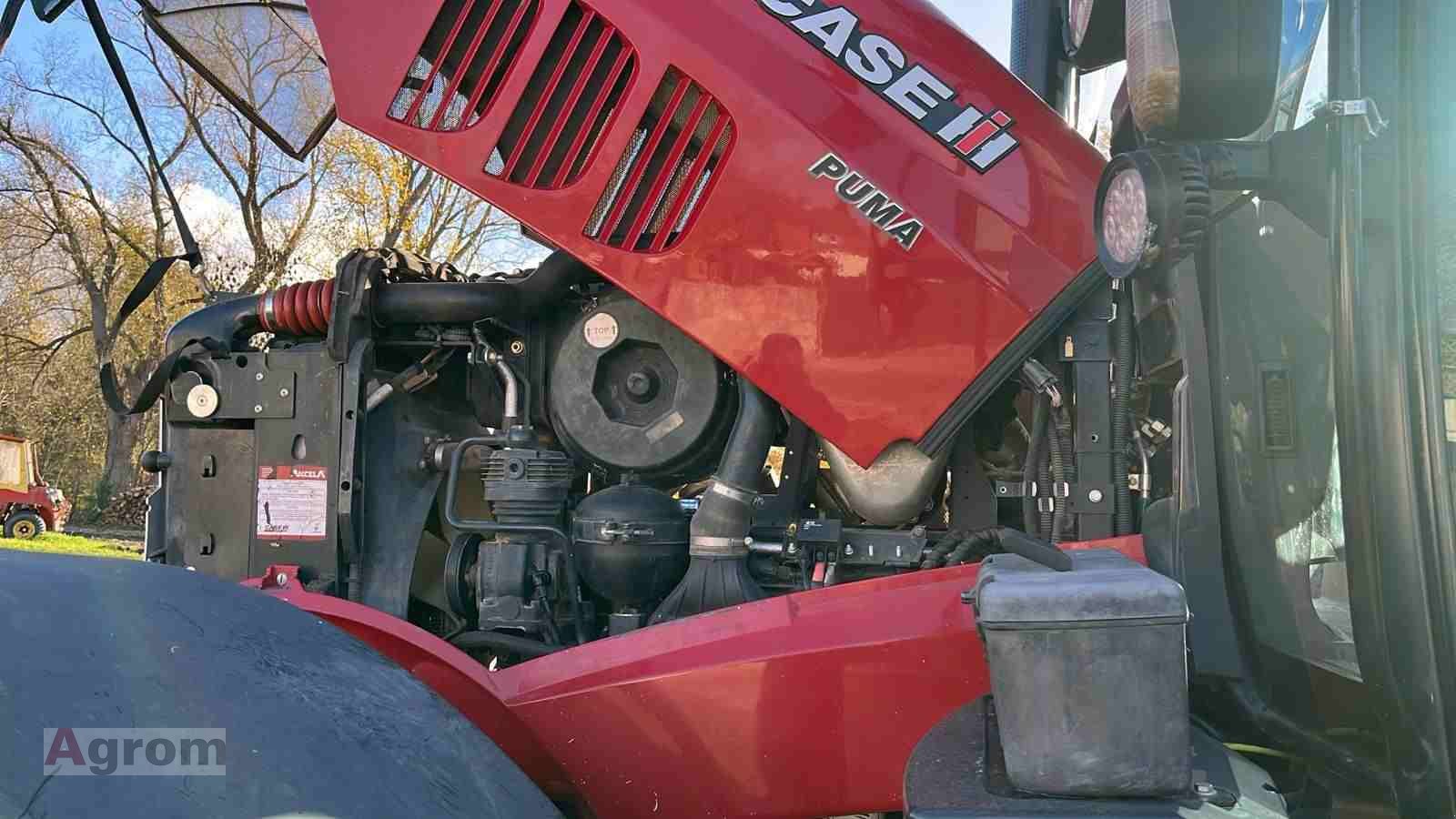 Traktor типа Case IH Puma CVX 220, Gebrauchtmaschine в Meißenheim-Kürzell (Фотография 21)