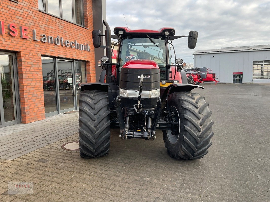 Traktor tip Case IH Puma CVX 240 inkl. RTX Lenksystem, Gebrauchtmaschine in Lippetal / Herzfeld (Poză 3)