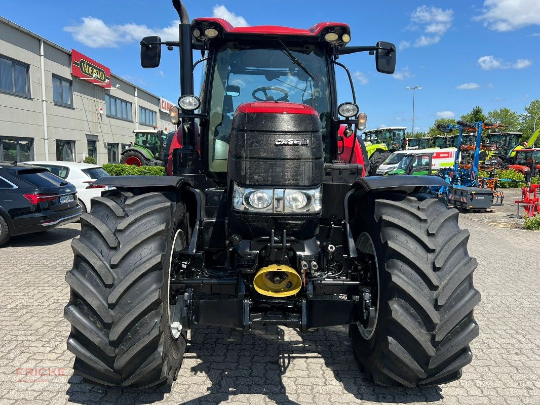 Traktor Türe ait Case Puma CVX 165, Gebrauchtmaschine içinde Demmin (resim 4)