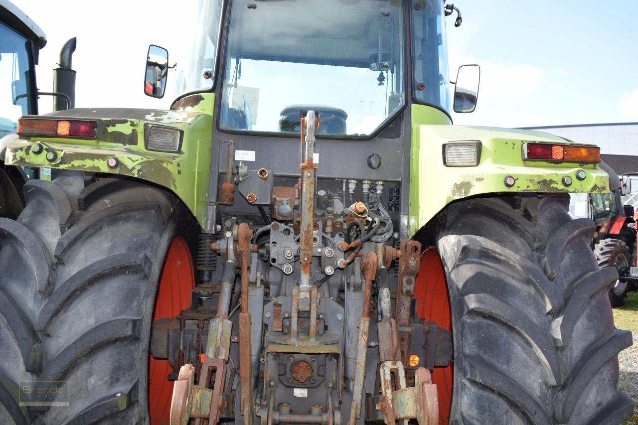 Traktor a típus CLAAS Ares 697 ATZ, Gebrauchtmaschine ekkor: Oyten (Kép 5)