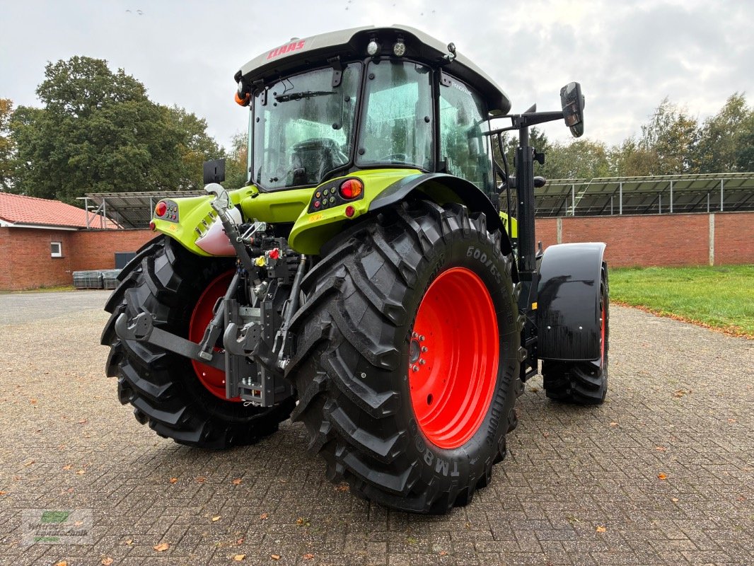 Traktor van het type CLAAS Arion 450 CIS, Vorführmaschine in Georgsheil (Foto 3)
