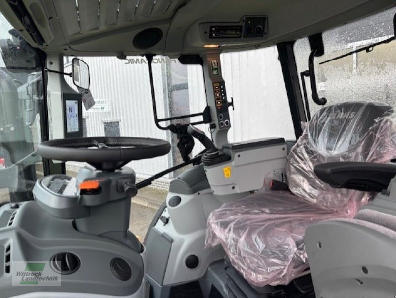 Traktor a típus CLAAS Arion 450 Comfort, Neumaschine ekkor: Rhede / Brual (Kép 11)