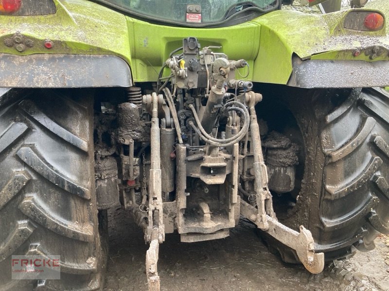 Traktor of the type CLAAS Arion 510 CIS, Gebrauchtmaschine in Bockel - Gyhum (Picture 13)