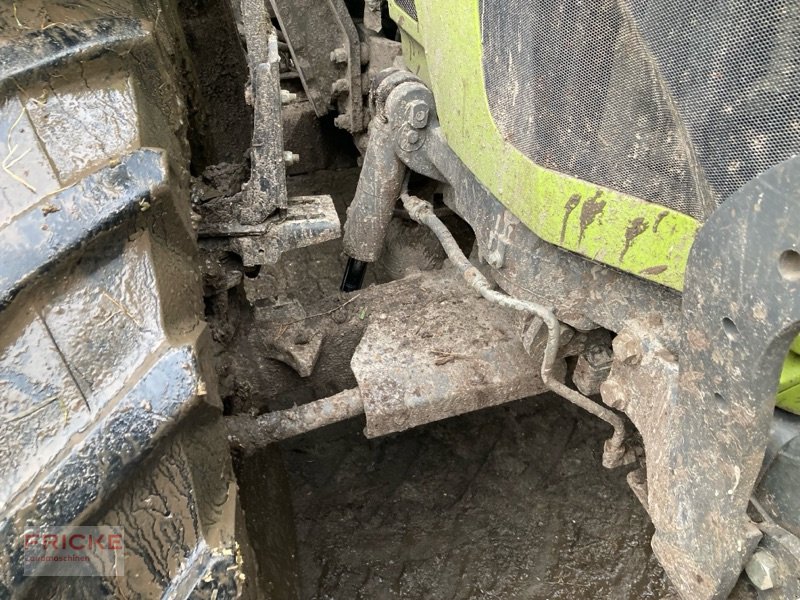 Traktor of the type CLAAS Arion 510 CIS, Gebrauchtmaschine in Bockel - Gyhum (Picture 20)