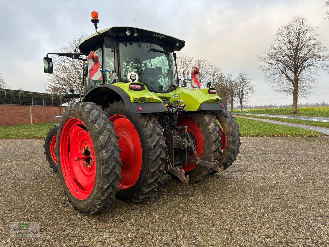 Traktor of the type CLAAS Arion 530 CEBIS, Gebrauchtmaschine in Rhede / Brual (Picture 4)