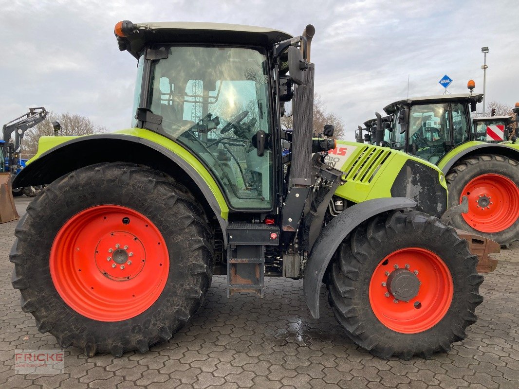Traktor a típus CLAAS Arion 530, Gebrauchtmaschine ekkor: Bockel - Gyhum (Kép 4)