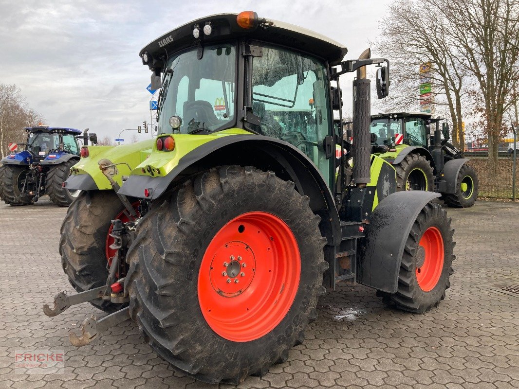 Traktor a típus CLAAS Arion 530, Gebrauchtmaschine ekkor: Bockel - Gyhum (Kép 5)