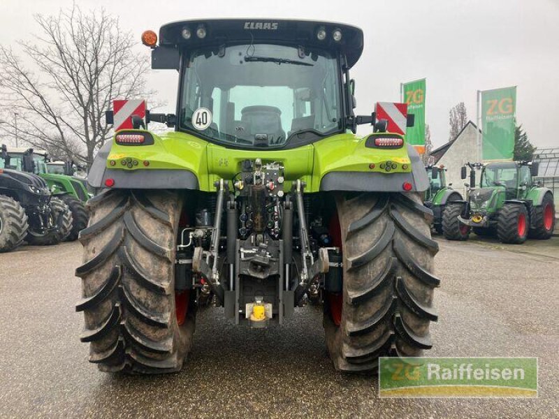 Traktor типа CLAAS Arion 550 Cebis, Gebrauchtmaschine в Bühl (Фотография 8)