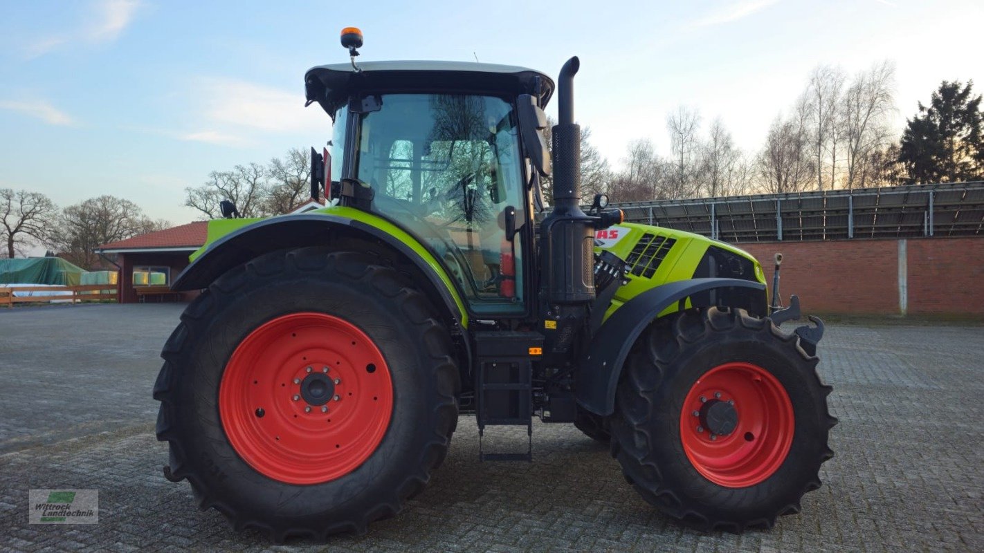 Traktor du type CLAAS Arion 550 CIS+, Gebrauchtmaschine en Rhede / Brual (Photo 7)