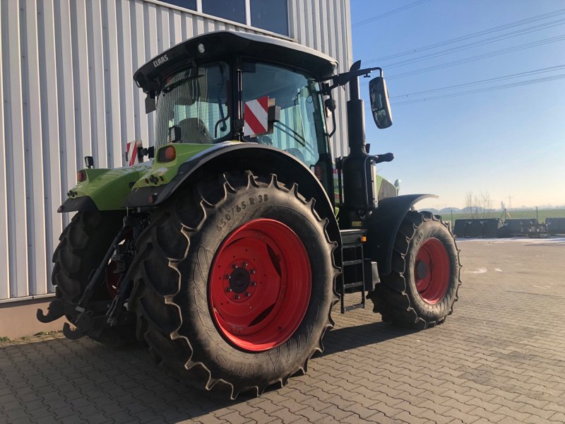 Traktor типа CLAAS Arion 550 CM Cis+, Gebrauchtmaschine в Nauen (Фотография 2)