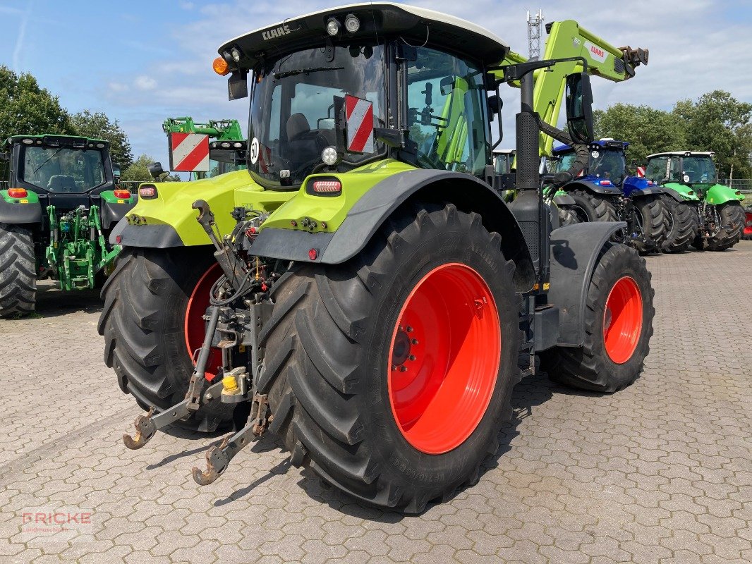 Traktor typu CLAAS Arion 630 Cebis Cmatic **Black-Weeks**, Gebrauchtmaschine v Bockel - Gyhum (Obrázek 20)