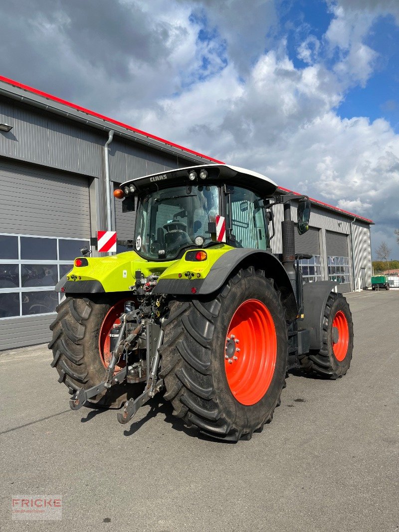 Traktor del tipo CLAAS Arion 650 CIS **Black-Weeks**, Gebrauchtmaschine en Bockel - Gyhum (Imagen 5)