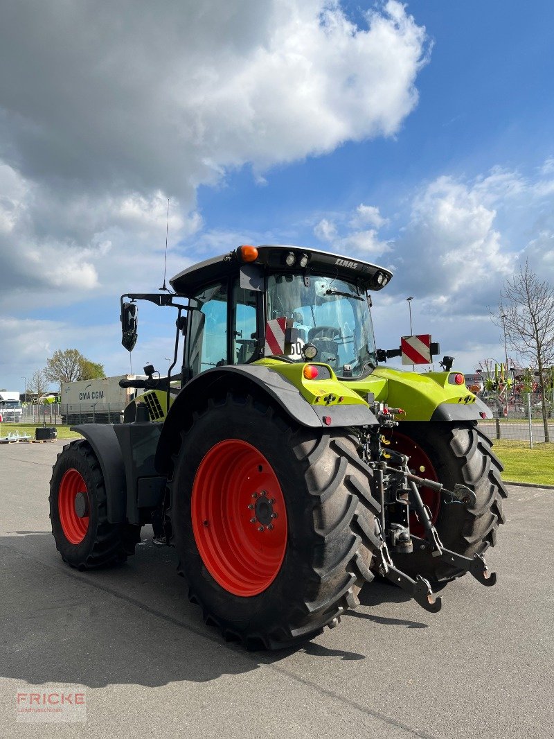 Traktor del tipo CLAAS Arion 650 CIS **Black-Weeks**, Gebrauchtmaschine en Bockel - Gyhum (Imagen 8)