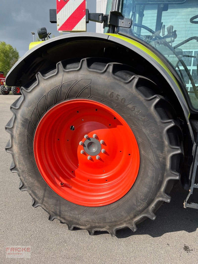 Traktor del tipo CLAAS Arion 650 CIS **Black-Weeks**, Gebrauchtmaschine en Bockel - Gyhum (Imagen 13)