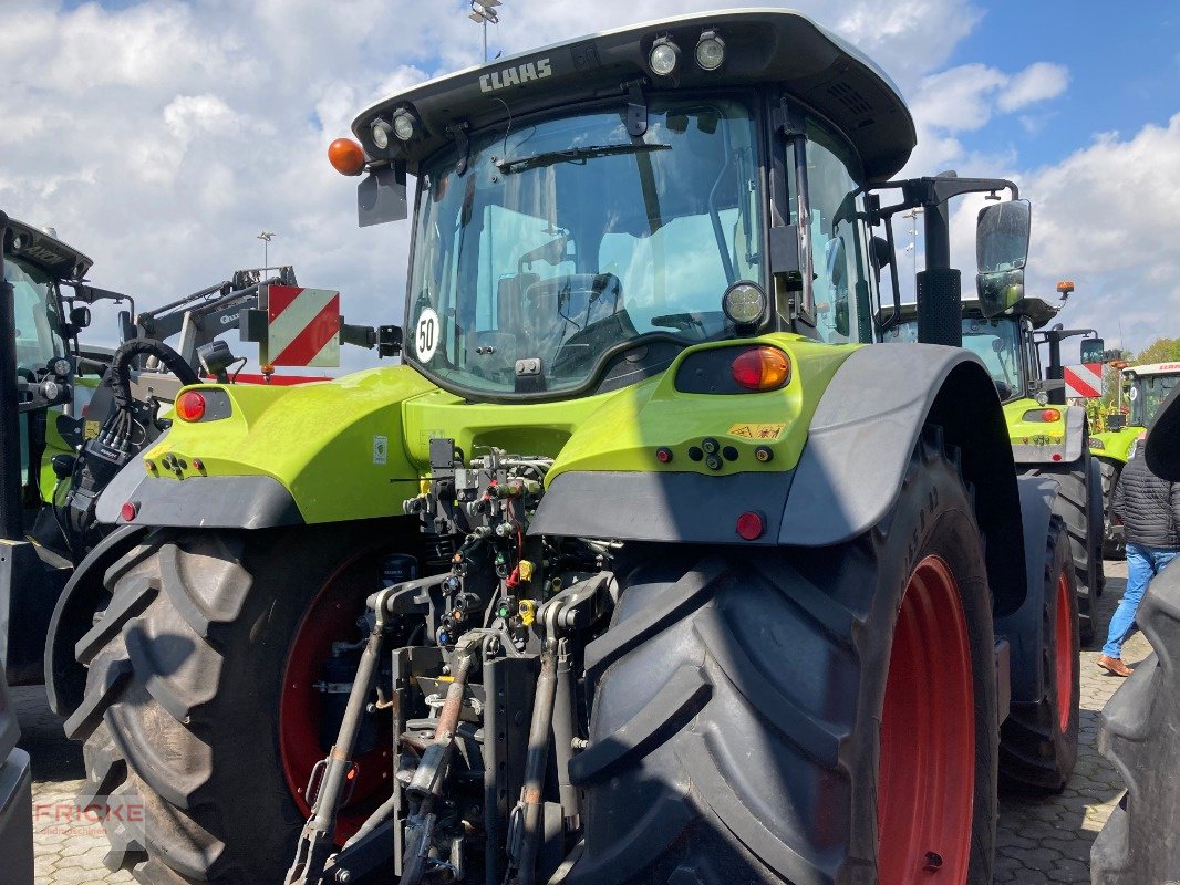 Traktor del tipo CLAAS Arion 650 CIS **Black-Weeks**, Gebrauchtmaschine en Bockel - Gyhum (Imagen 28)