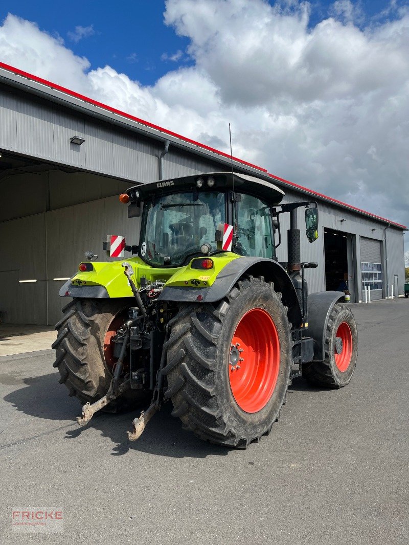 Traktor a típus CLAAS Arion 650 CIS, Gebrauchtmaschine ekkor: Bockel - Gyhum (Kép 7)