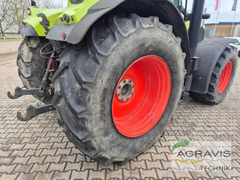 Traktor typu CLAAS ARION 650 CMATIC TIER 4I, Gebrauchtmaschine v Alpen (Obrázek 11)