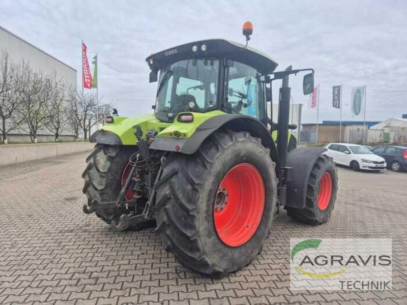 Traktor typu CLAAS ARION 650 CMATIC TIER 4I, Gebrauchtmaschine v Alpen (Obrázek 3)