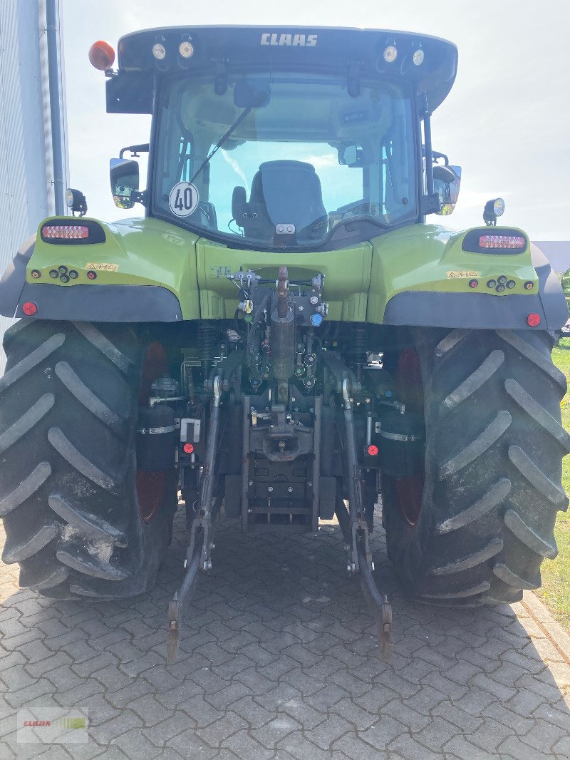 Traktor of the type CLAAS Arion 650 Hexashift, Gebrauchtmaschine in Schwülper (Picture 3)