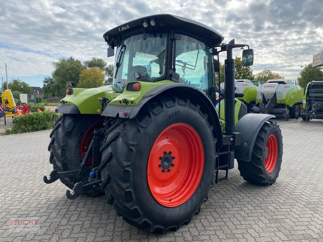 Traktor typu CLAAS Arion 650 T4i Hexashift, Gebrauchtmaschine w Demmin (Zdjęcie 7)