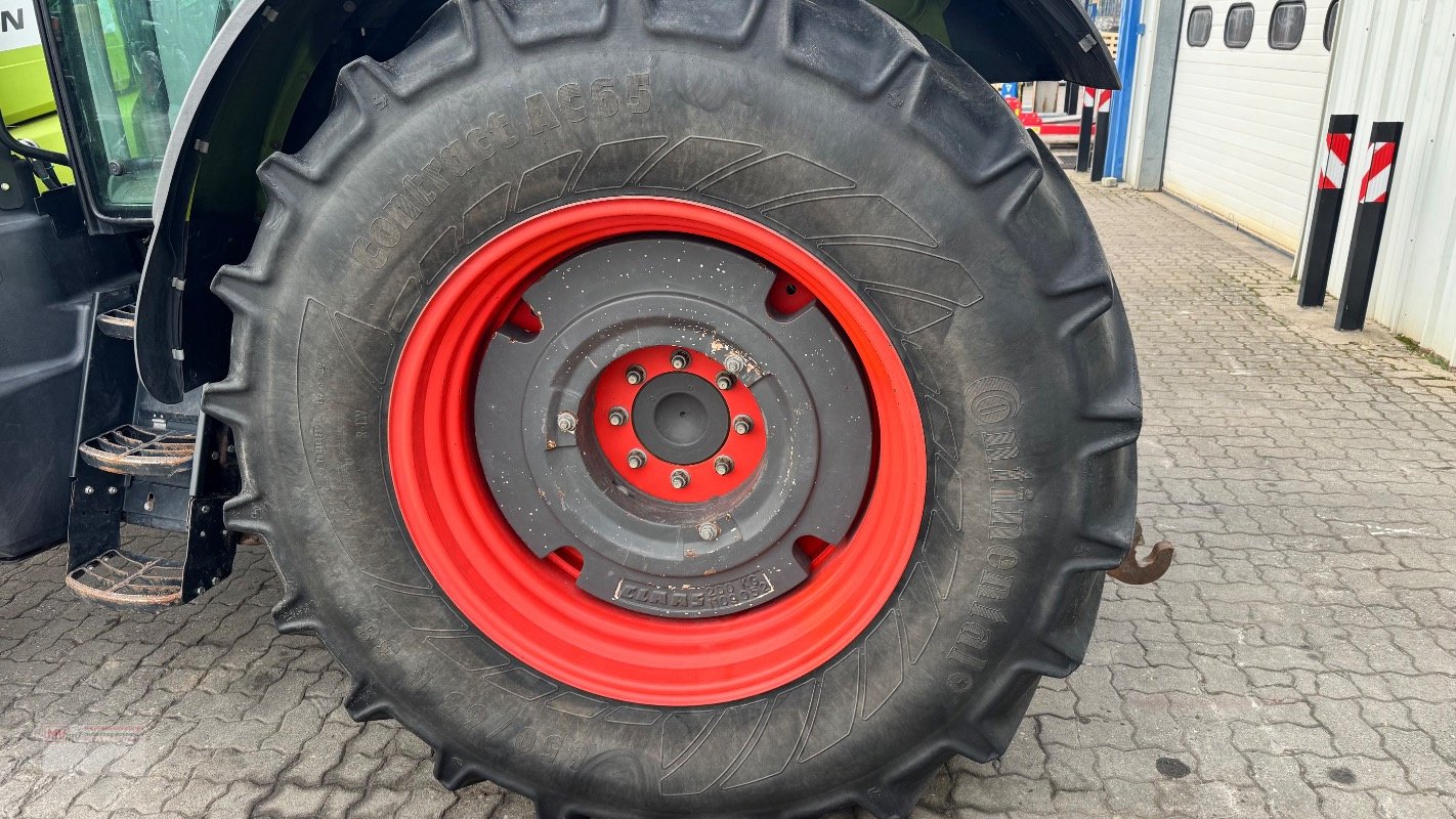 Traktor des Typs CLAAS Arion 650, Gebrauchtmaschine in Neubrandenburg (Bild 13)