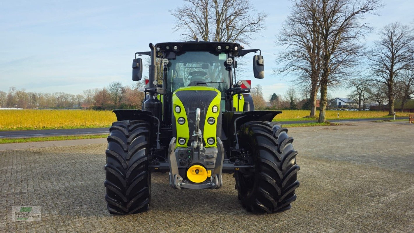 Traktor of the type CLAAS Arion 660 Cebis Edeltrecker, Neumaschine in Rhede / Brual (Picture 8)